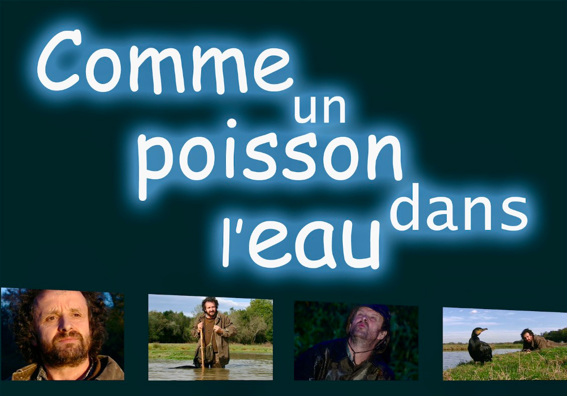 Affiche du film, Comme un Poisson dans l'Eau, avec Patrick Lamaison, Film de Anthony Martin