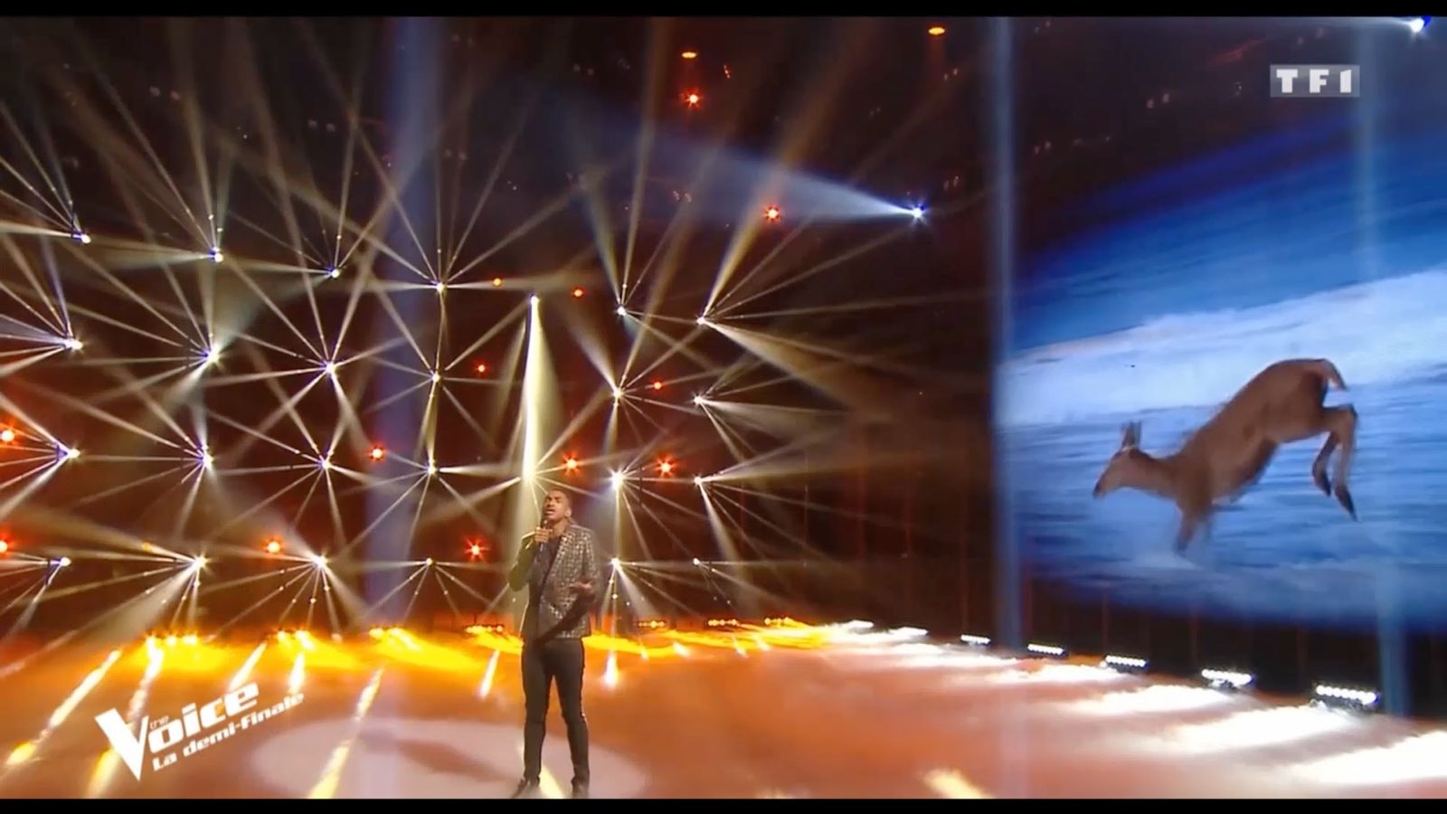 La vidéo de Anthony Martin, la biche à la plage, diffusée sur TF1 à l'émission The Voice